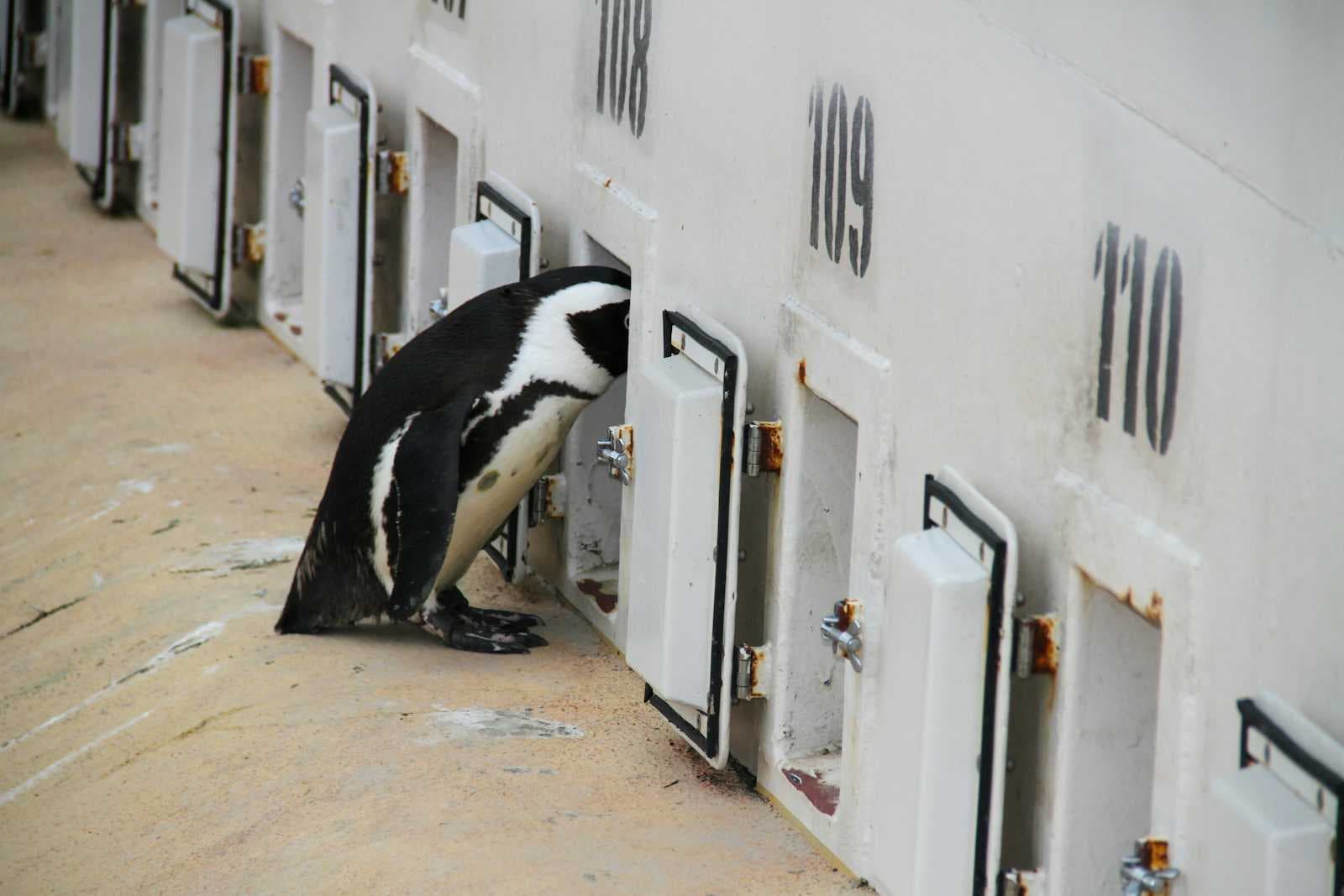 Dive back into YOCTO